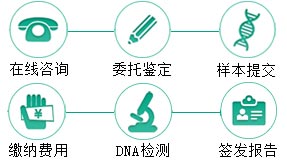 凯里同父异母半同胞鉴定
